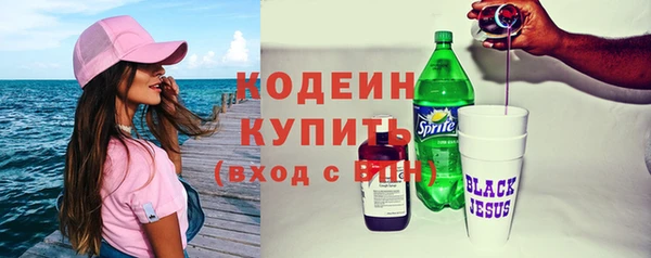 spice Богородицк