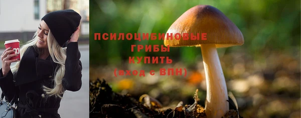 гашик Навашино