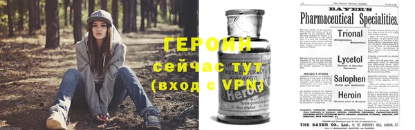 spice Богородицк