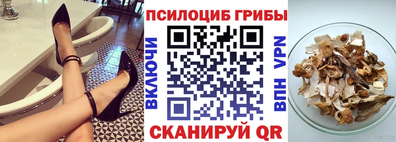 Галлюциногенные грибы мицелий  наркотики  Инсар 